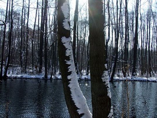 Niebieskie Źródła