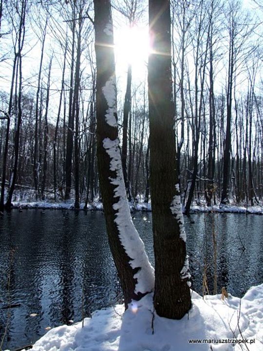 Nowe Niebieskie Źródła