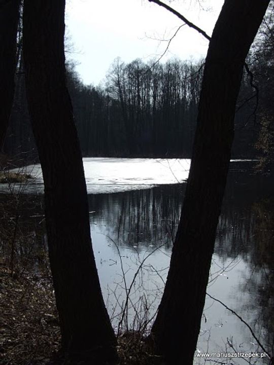 Nowe Niebieskie Źródła