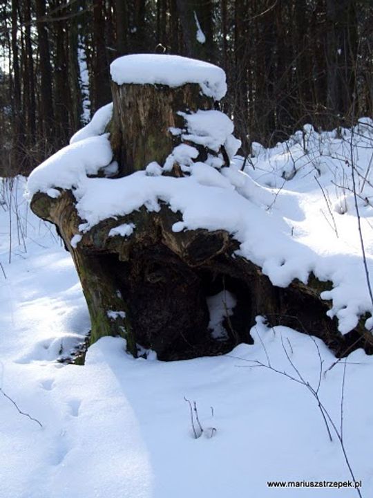 Nowe Niebieskie Źródła