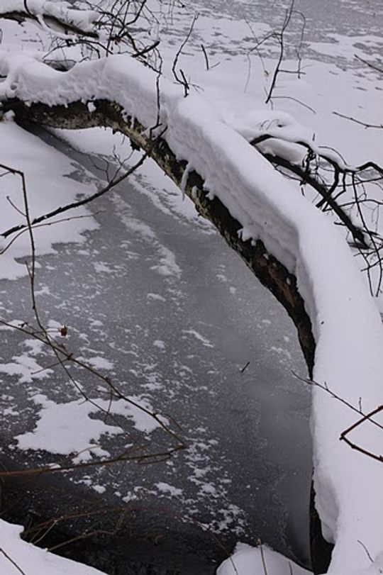 Nowe Niebieskie Źródła