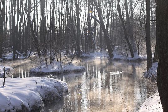 Nowe Niebieskie Źródła