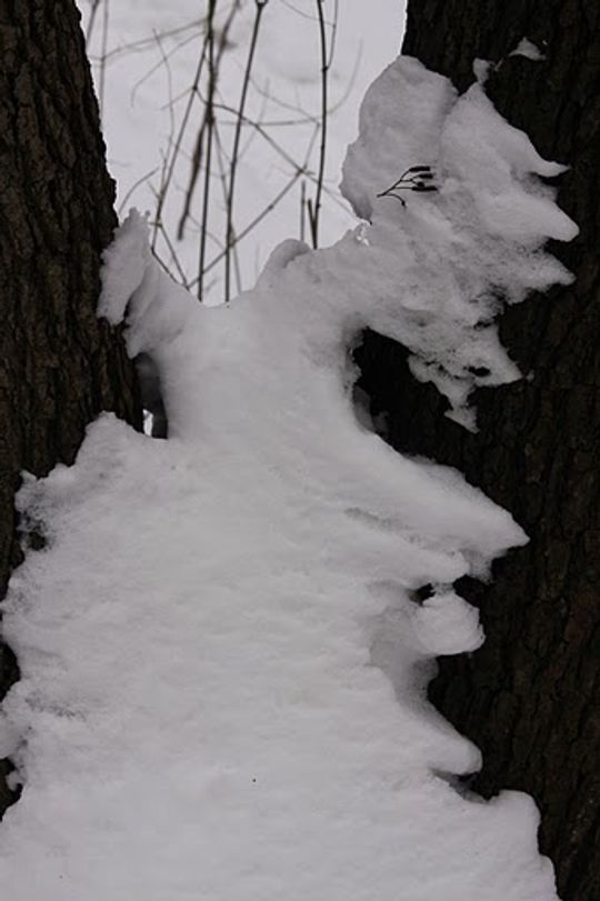 Nowe Niebieskie Źródła