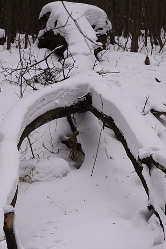 Nowe Niebieskie Źródła