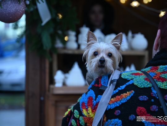 Drugi weekend Jarmarku Bożonarodzeniowego w Tomaszowie Mazowieckim za nami