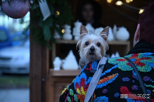 Drugi weekend Jarmarku Bożonarodzeniowego w Tomaszowie Mazowieckim za nami