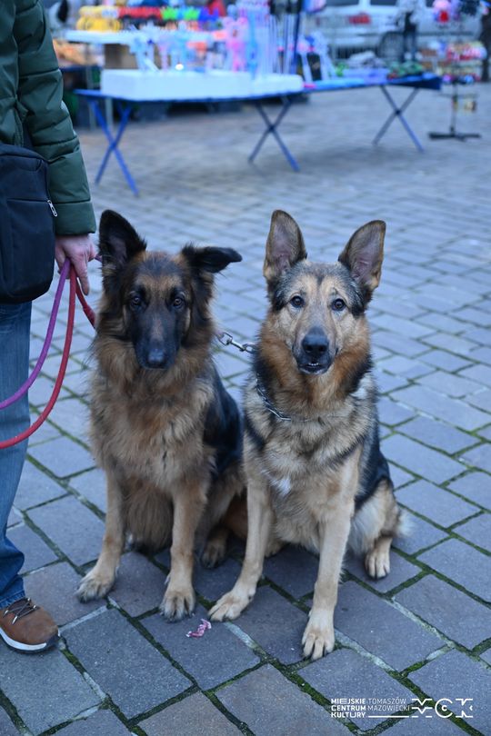 Drugi weekend Jarmarku Bożonarodzeniowego w Tomaszowie Mazowieckim za nami