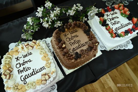 10 lat chóru Artis Gaudium. Jubileuszowy koncert w Tomaszowie Mazowieckim