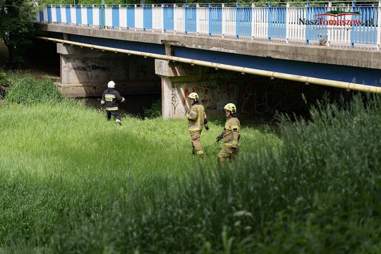 Ćwiczenia służb i mieszkańców przy Arenie Lodowej. Wspólna lekcja reagowania