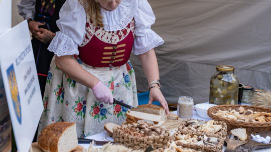 Dożynki Polskie w Spale przyciągnęły tłumy. Tradycja wróciła nad Pilicę