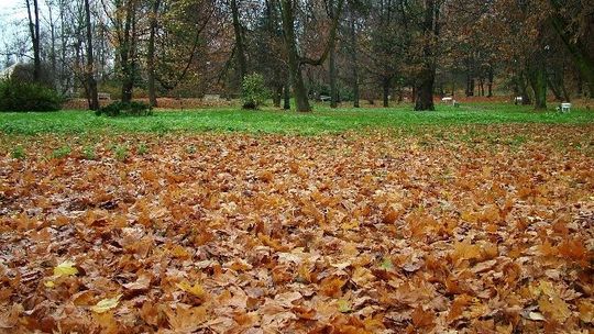 Park Miejski "Solidarność"