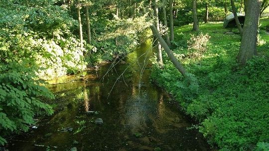Spała