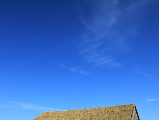 Spłonie stodoła Spłonie stodoła