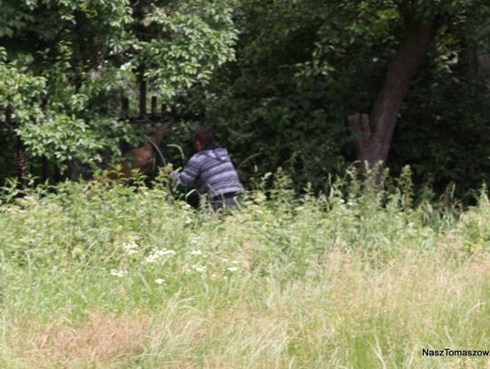 Interesant Interesant