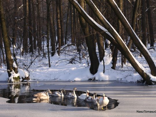 Przysypało wszystko na biało