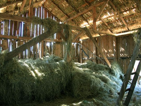 Spłonie stodoła Spłonie stodoła