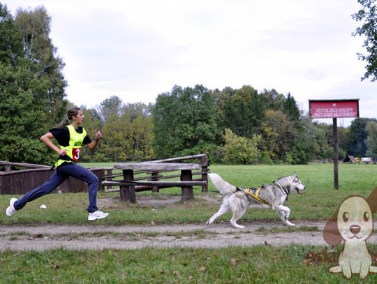 Zawody Warszawa 15-16.10.2011
canicross z Buckiem