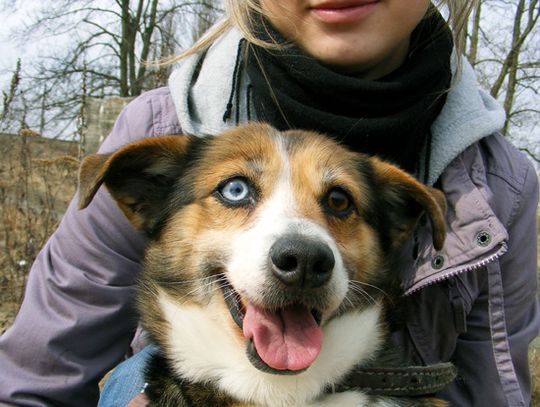 Czy te oczy mogą kłamać Czy te oczy mogą kłamać