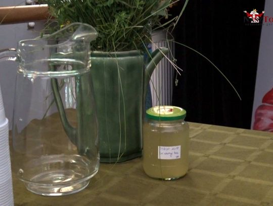 Spotkanie z wiedźmą - zielarką - kawa czy może herbata?