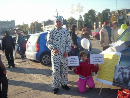 W obronie zwierząt W obronie zwierząt