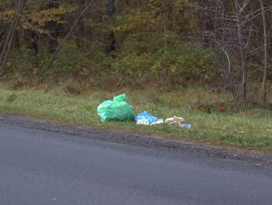 Człowiek to jednak zadziwiające stworzenie...