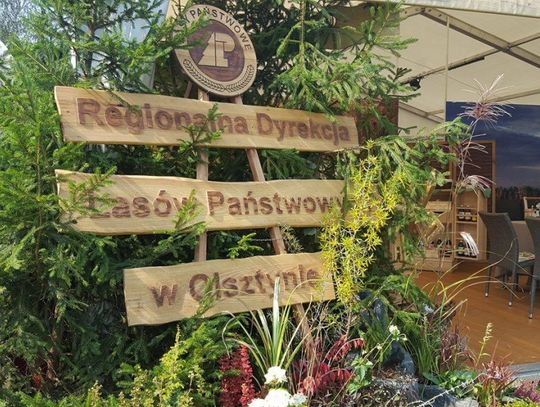 Trwają Dożynki Prezydenckie w Spale Trwają Dożynki Prezydenckie w Spale