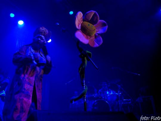 Antywalentynki w Wytwórni z Łąki Łan