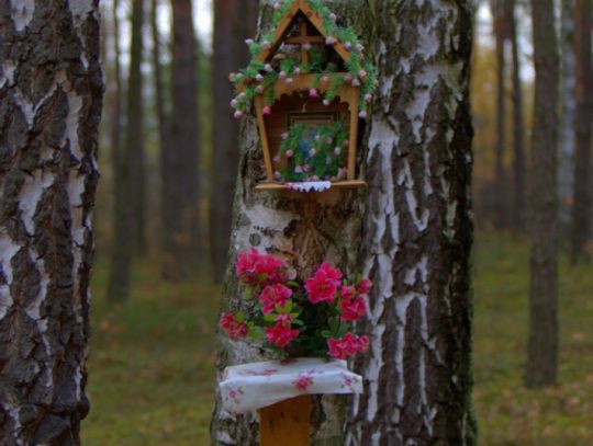 Jesienny przeplataniec