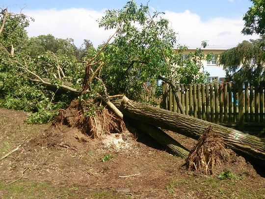 Wiało w mieście i nie tylko