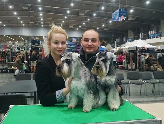 Czworonożna gwiazda