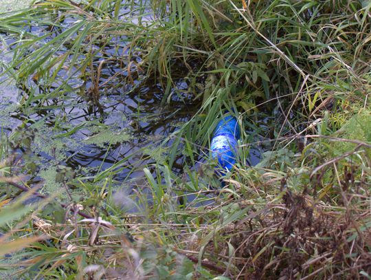 Człowiek to jednak zadziwiające stworzenie...
