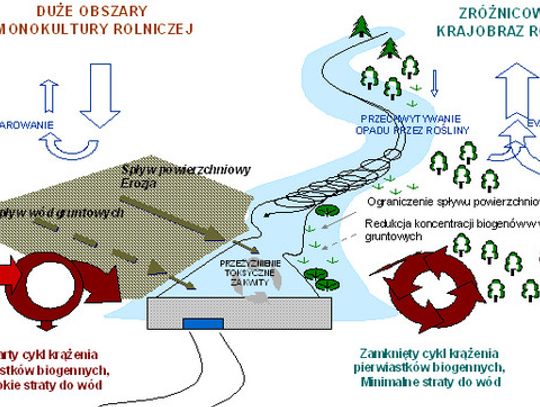 Strategia działania wg. prof. Zalewskiego