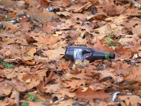 Człowiek to jednak zadziwiające stworzenie...