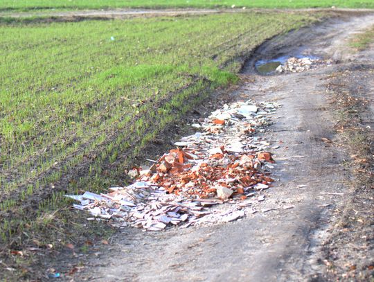 Człowiek to jednak zadziwiające stworzenie...