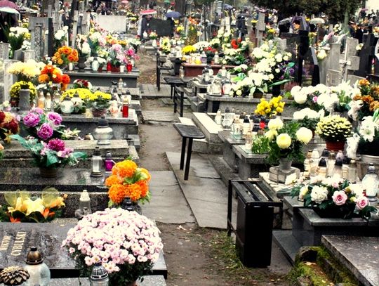 (FOTO) Święto Zmarłych na cmentarzu przy ulicy Smutnej