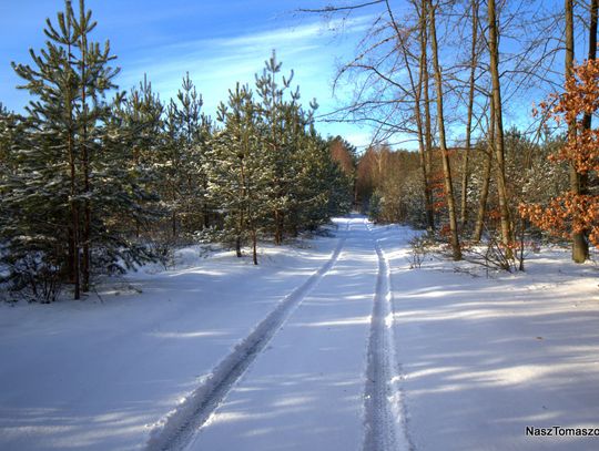 Zapowiada się słoneczny weekend