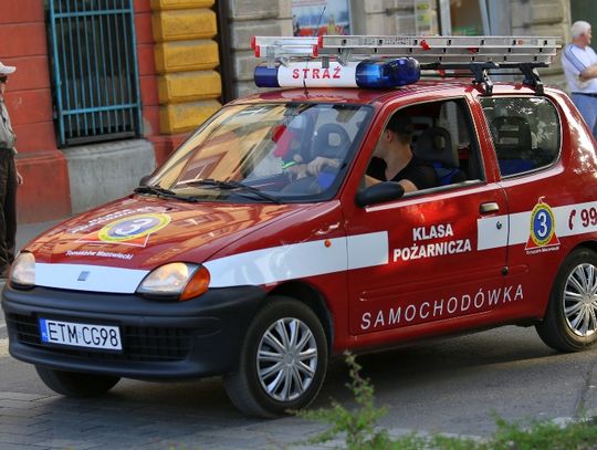 Paradowali ulicami miasta Paradowali ulicami miasta