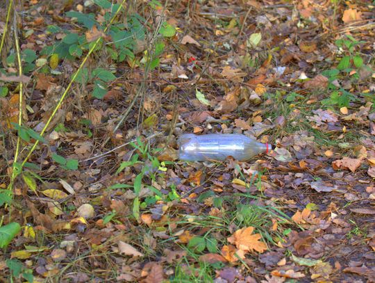 Człowiek to jednak zadziwiające stworzenie...