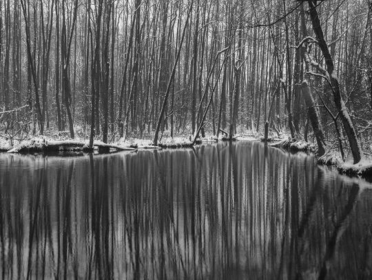 Niebieskie Źródła - spacer o każdej porze roku