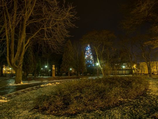 Choinka, bombka, sanie, renifery