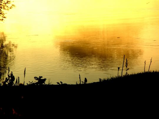 Ranek nad Pilicą Ranek nad Pilicą