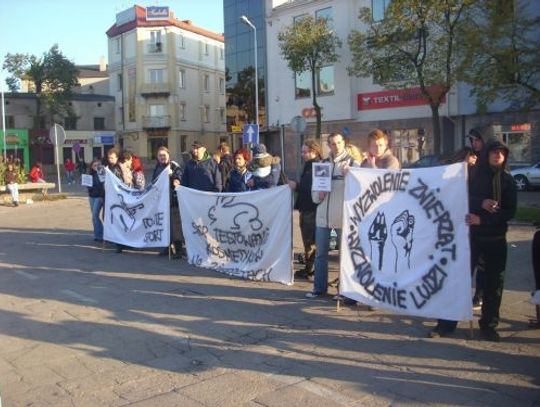 W obronie zwierząt W obronie zwierząt