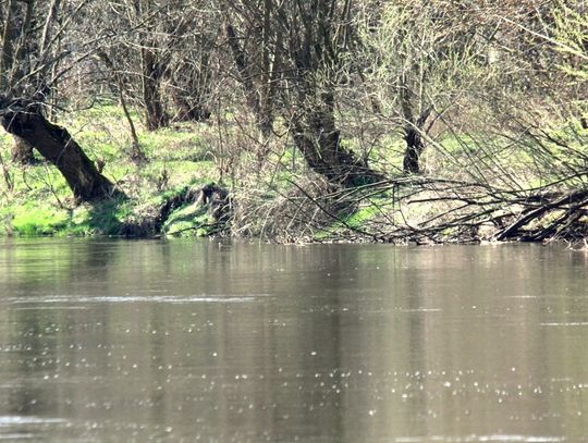 W obiektywie: Cross Maraton Pilica 2017