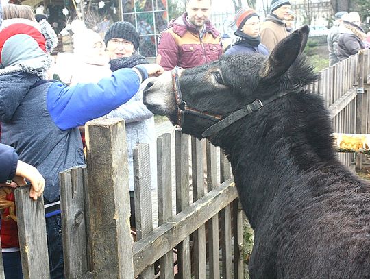 (FOTO) Żywa szopka przy parafii Najświętszego Serca Jezusowego