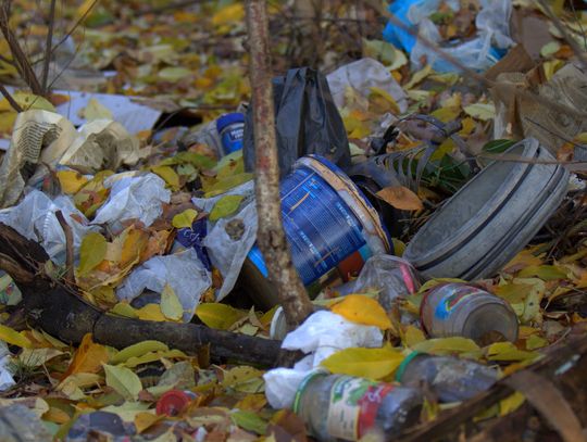 Człowiek to jednak zadziwiające stworzenie...