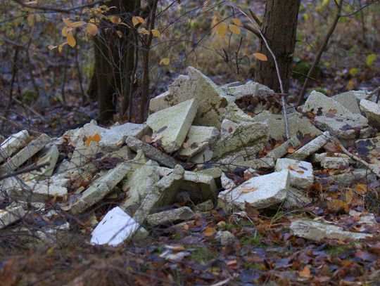Człowiek to jednak zadziwiające stworzenie...