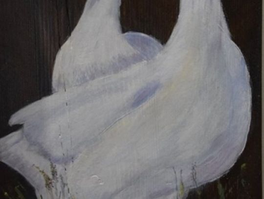 Wsi spokojna, wsi wesoła...