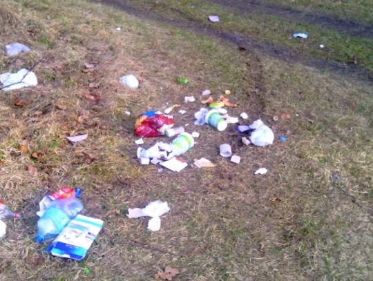 Bo łatwiej jest wywieźć do lasu?