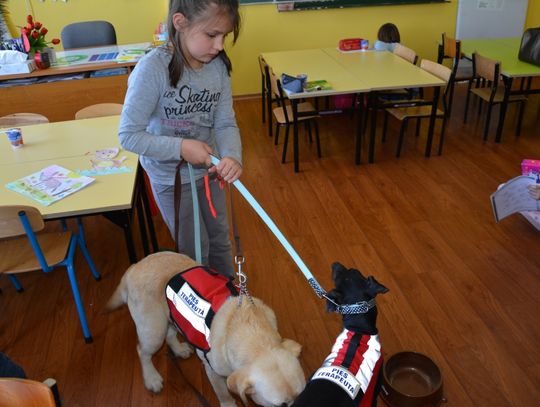 Spotkanie z psem terapeutą