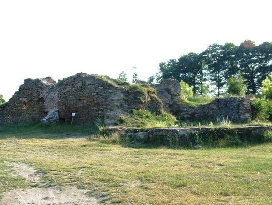 Ruiny Zamku Kazimierza Wielkiego